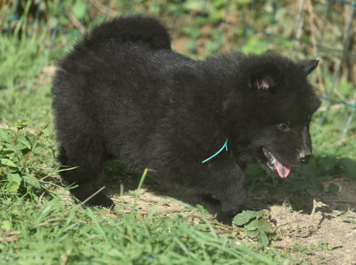 DEPARTS et reservations