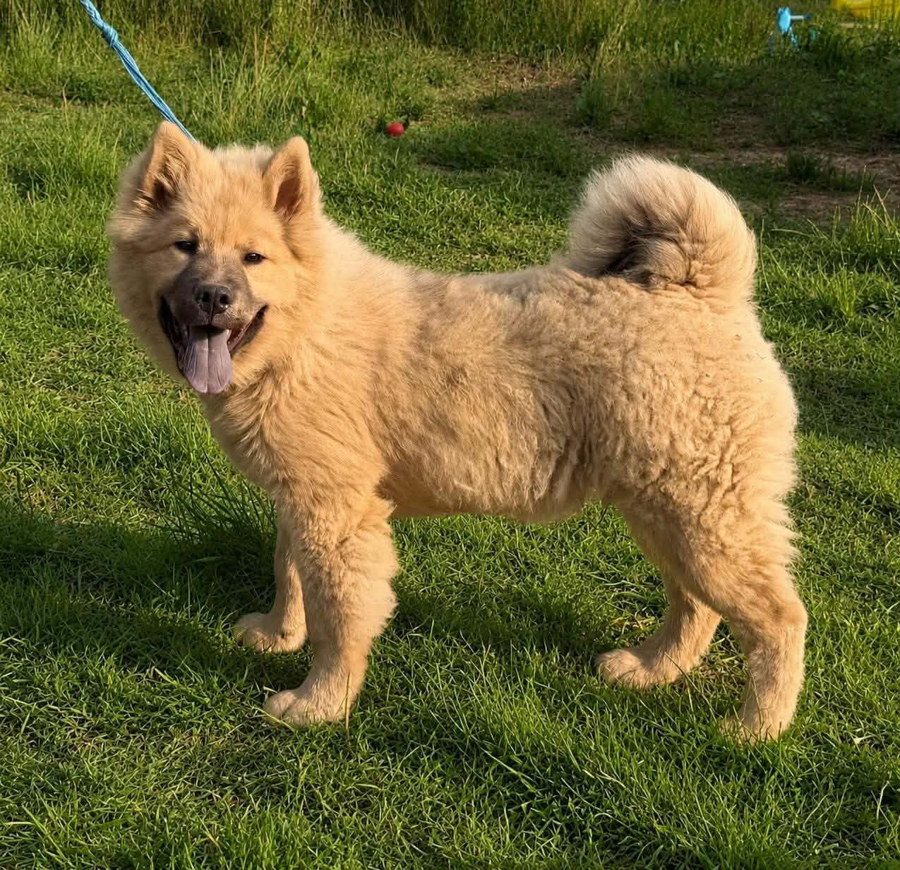 BAÏKO CHERCHE TOUJOURS SA FAMILLE