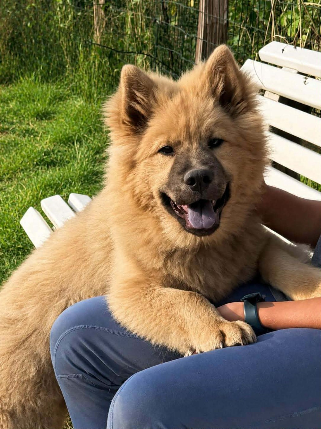 BAÎKO a trouvé sa famille pour la vie.