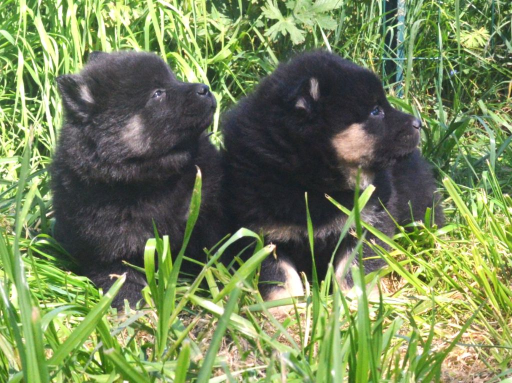 LES BEBES DE TOUCHY